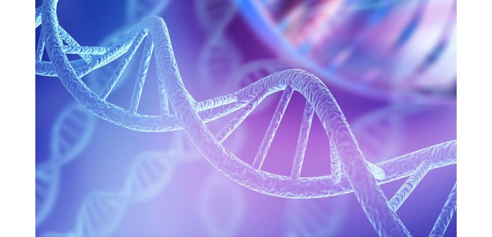 Peptide Regulation of Gene Expression: A Systematic Review