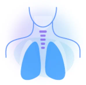 Respiratory system