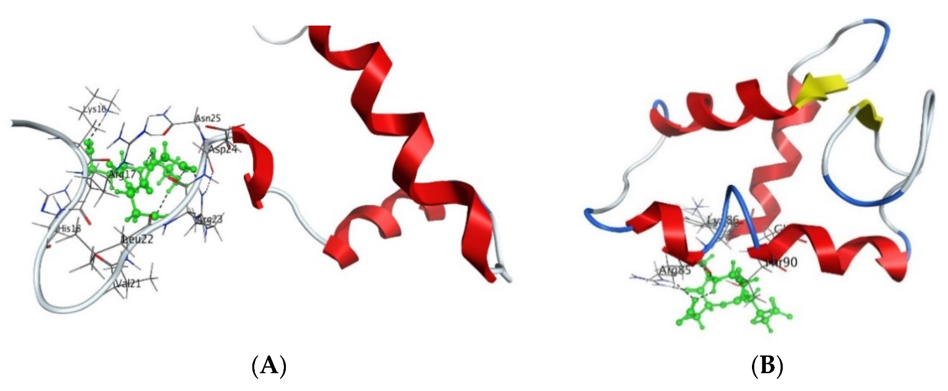 Figure 3. Interaction of AEDG peptide with H4 histone (A) and H1/6 histone (B) in accordance with the data obtained from the forcefield molecular modeling (Molecular Operating Environment, forcefield Amber12EHT). Histone molecules (Protein Data Bank) are depicted as α-helical domains and loops. Oxygen atoms are shown in red, nitrogen atoms in blue, carbon atoms in black, and hydrogen atoms in light gray. The peptide is highlighted in green. The dotted line shows hydrogen bonds.